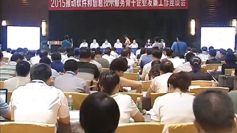 工厂软硬件采购定制：揭秘定制厂家的关键考量因素